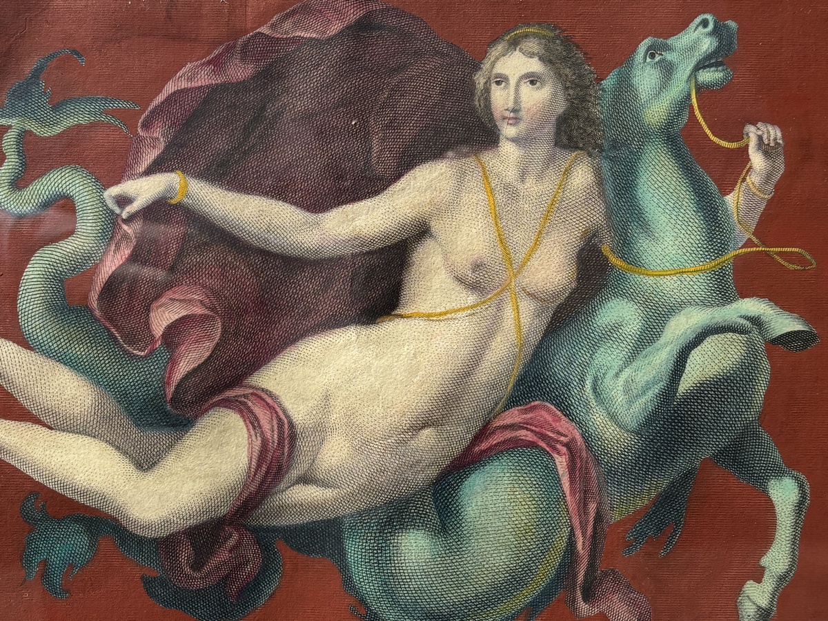 Art Décor - Web Only